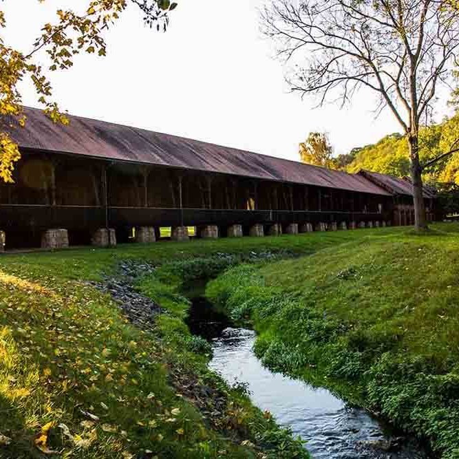 Bild aus der Praxis Dr. Starrach Bad Sulza